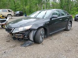 Salvage cars for sale at Cookstown, ON auction: 2012 KIA Optima Hybrid