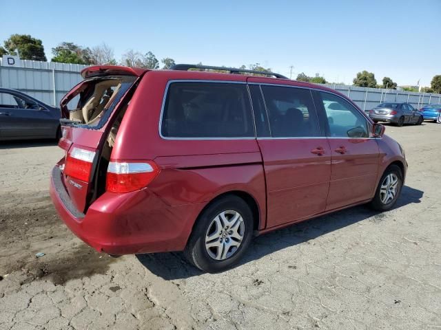 2005 Honda Odyssey EXL