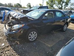 Toyota Vehiculos salvage en venta: 2010 Toyota Corolla Base