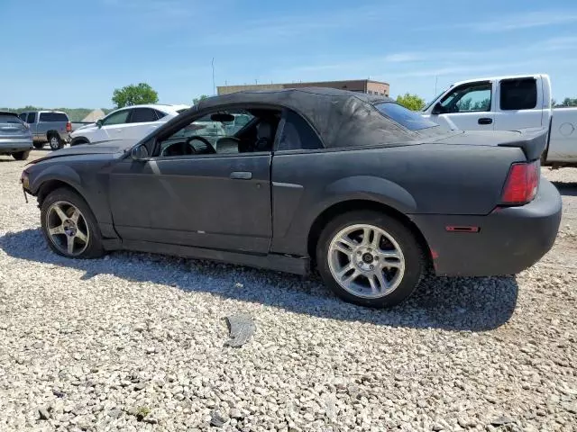 2003 Ford Mustang Cobra SVT