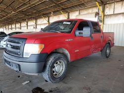 Salvage cars for sale at Phoenix, AZ auction: 2014 Ford F150 Supercrew