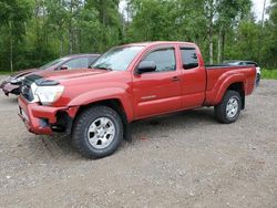 Salvage trucks for sale at Cookstown, ON auction: 2013 Toyota Tacoma Access Cab