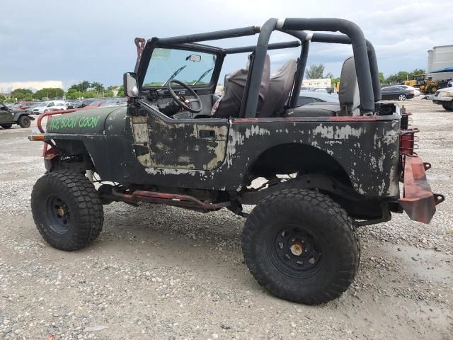 1993 Jeep Wrangler / YJ