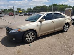 Toyota Vehiculos salvage en venta: 2010 Toyota Camry Base