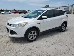 Ford salvage cars for sale: 2014 Ford Escape SE