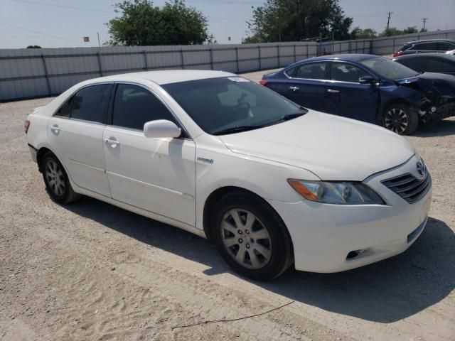 2009 Toyota Camry Hybrid