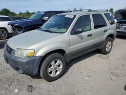 Salvage cars for sale at Duryea, PA auction: 2006 Ford Escape XLT