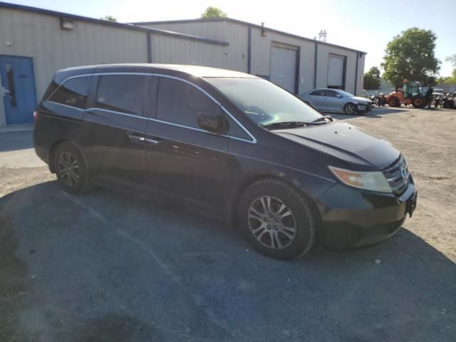 2011 Honda Odyssey EXL