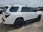 2024 Toyota 4runner SR5/SR5 Premium