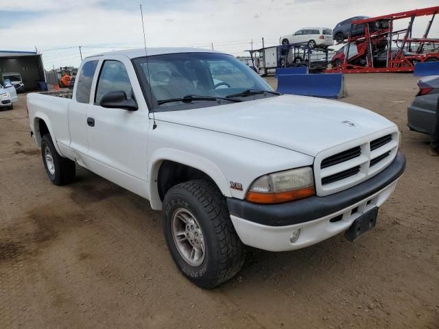 1999 Dodge Dakota