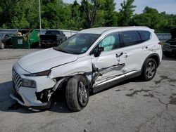 2022 Hyundai Santa FE SEL en venta en Albany, NY