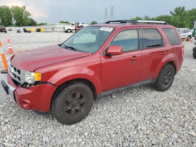 2011 Ford Escape Limited