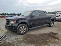 Vehiculos salvage en venta de Copart Fredericksburg, VA: 2013 Ford F150 Supercrew