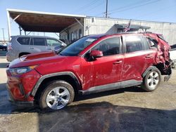 Salvage cars for sale from Copart Los Angeles, CA: 2020 Toyota Rav4 LE