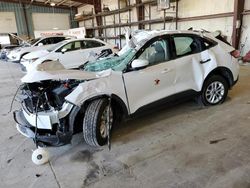 Salvage cars for sale at Eldridge, IA auction: 2020 Ford Escape SE