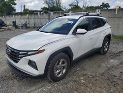 Salvage cars for sale at Opa Locka, FL auction: 2024 Hyundai Tucson SEL