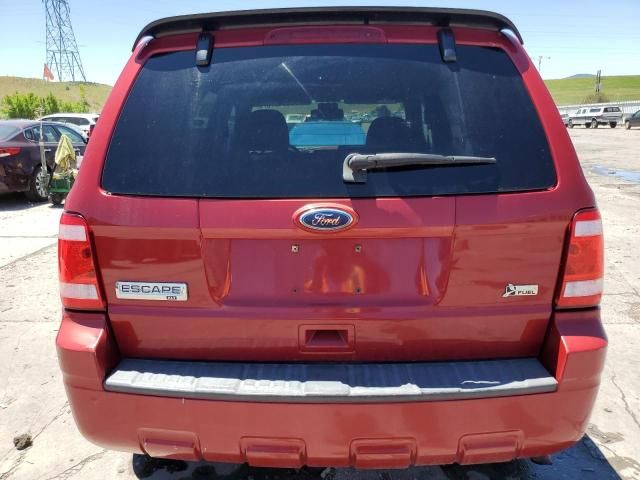 2010 Ford Escape XLT