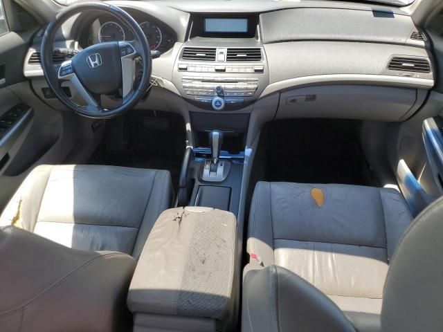 2009 Honda Accord EXL