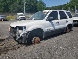 Salvage cars for sale at Finksburg, MD auction: 2006 Ford Escape HEV