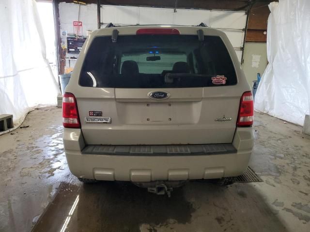 2008 Ford Escape XLT