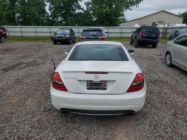 2010 Mercedes-Benz SLK 300