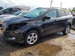 Salvage cars for sale from Copart Chicago Heights, IL: 2014 Ford Escape SE