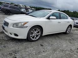 Nissan Maxima s Vehiculos salvage en venta: 2012 Nissan Maxima S