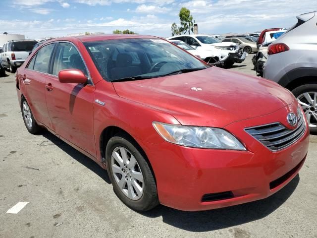 2007 Toyota Camry Hybrid