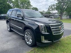 Cadillac Escalade salvage cars for sale: 2019 Cadillac Escalade Premium Luxury