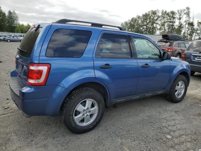 2009 Ford Escape XLT