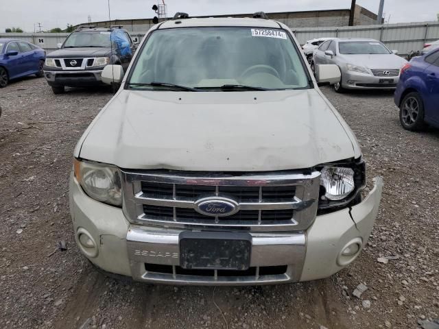 2009 Ford Escape Limited