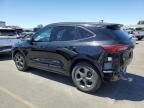 2023 Ford Escape ST Line