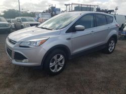 Vehiculos salvage en venta de Copart Kapolei, HI: 2015 Ford Escape SE