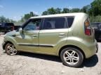 2010 KIA Soul +