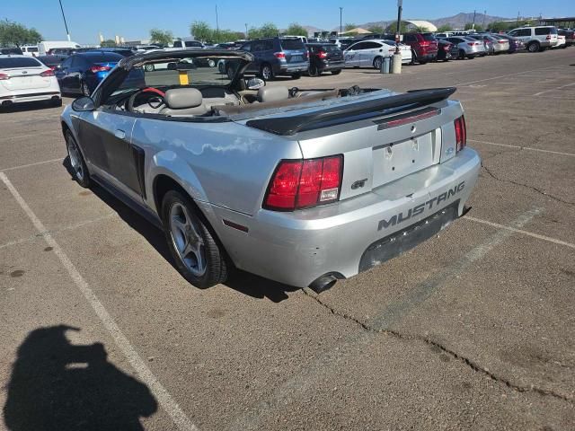 2000 Ford Mustang GT