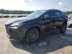 Salvage cars for sale at Gaston, SC auction: 2024 Lexus NX 250 Base