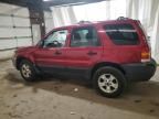 2006 Ford Escape XLT