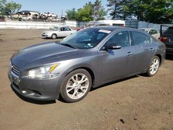 Nissan salvage cars for sale: 2014 Nissan Maxima S