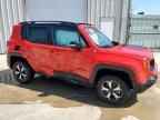 2022 Jeep Renegade Trailhawk