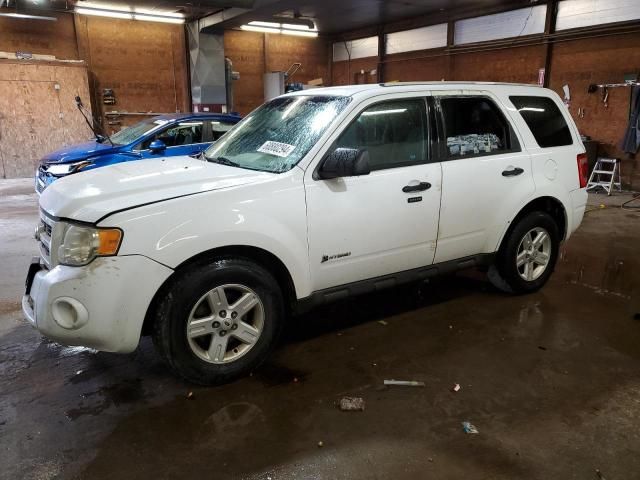 2010 Ford Escape Hybrid