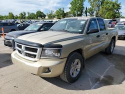 Salvage trucks for sale at Bridgeton, MO auction: 2011 Dodge Dakota SLT