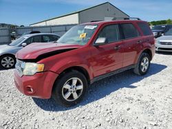 Ford salvage cars for sale: 2011 Ford Escape XLT