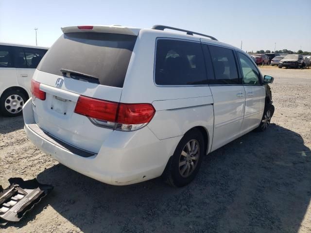 2010 Honda Odyssey EXL