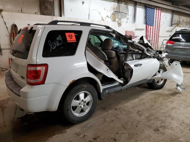 2011 Ford Escape XLT