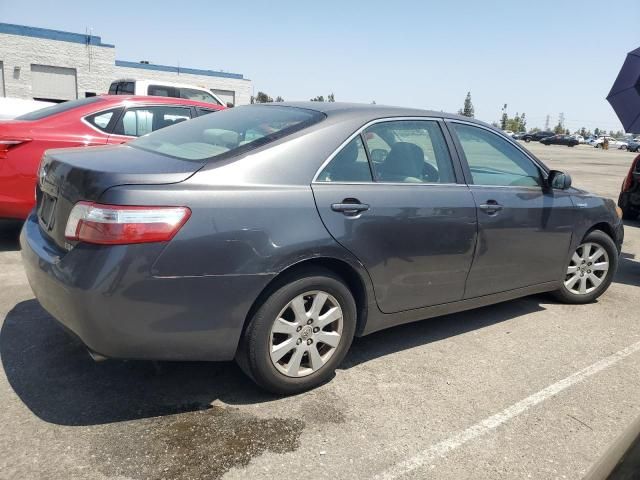 2009 Toyota Camry Hybrid