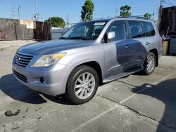 Salvage cars for sale at Wilmington, CA auction: 2008 Lexus LX 570