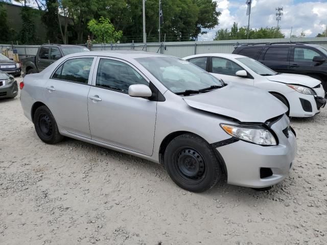 2010 Toyota Corolla Base