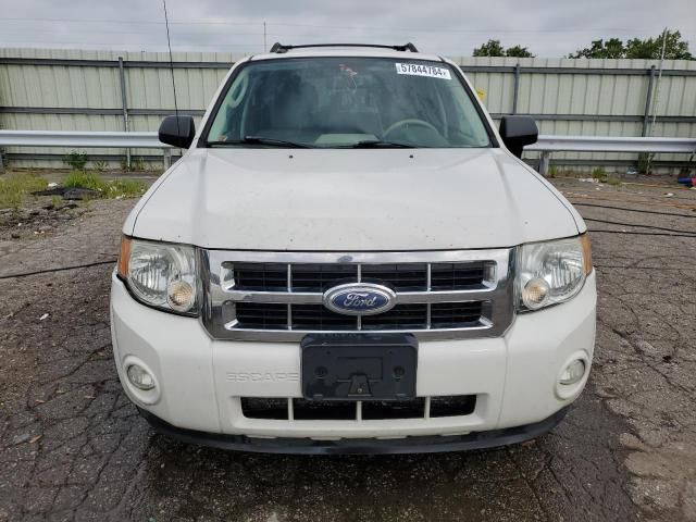 2012 Ford Escape XLT