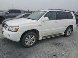 Toyota salvage cars for sale: 2006 Toyota Highlander Hybrid