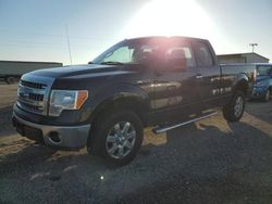 Salvage trucks for sale at Temple, TX auction: 2014 Ford F150 Super Cab